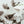 Load image into Gallery viewer, Yunnan Green Tea Pyramid Bags