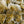 Load image into Gallery viewer, Chamomile Teabags
