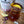 Load image into Gallery viewer, Rosebud Lemonade Iced Tea
